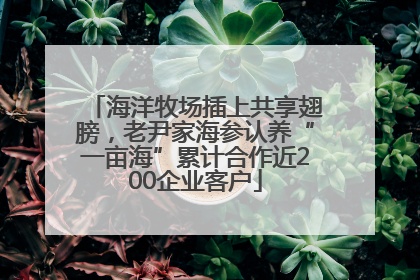 海洋牧场插上共享翅膀，老尹家海参认养“一亩海”累计合作近200企业客户