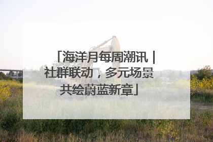 海洋月每周潮讯｜社群联动，多元场景共绘蔚蓝新章