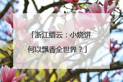 浙江缙云：小烧饼何以飘香全世界？