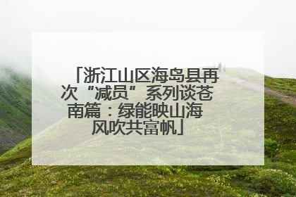 浙江山区海岛县再次“减员”系列谈苍南篇：绿能映山海 风吹共富帆