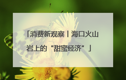 消费新观察丨海口火山岩上的“甜蜜经济”