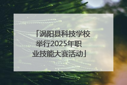 涡阳县科技学校举行2025年职业技能大赛活动