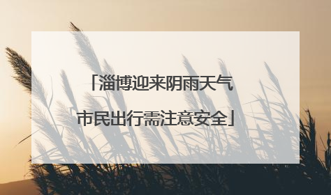 淄博迎来阴雨天气 市民出行需注意安全