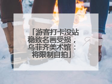 游客打卡没站稳致名画受损，乌菲齐美术馆：将限制自拍