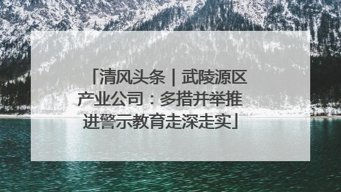 清风头条｜武陵源区产业公司：多措并举推进警示教育走深走实