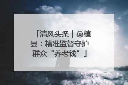 清风头条｜桑植县：精准监督守护群众“养老钱”