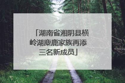 湖南省湘阴县横岭湖麋鹿家族再添三名新成员