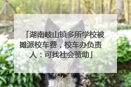 湖南岐山镇多所学校被摊派校车费，校车办负责人：可找社会赞助