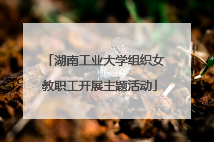 湖南工业大学组织女教职工开展主题活动