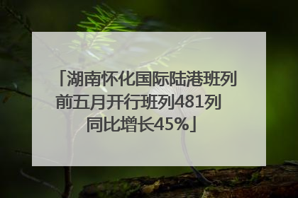 湖南怀化国际陆港班列前五月开行班列481列 同比增长45%