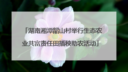 湖南湘潭韶山村举行生态农业共富责任田插秧助农活动