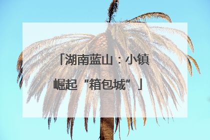 湖南蓝山：小镇崛起“箱包城”