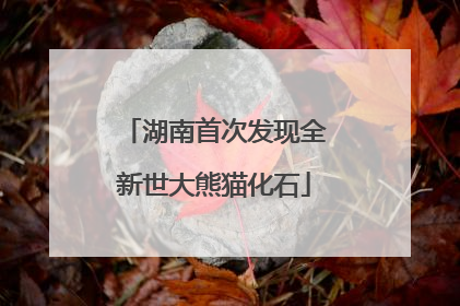 湖南首次发现全新世大熊猫化石
