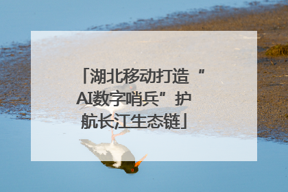 湖北移动打造“AI数字哨兵”护航长江生态链