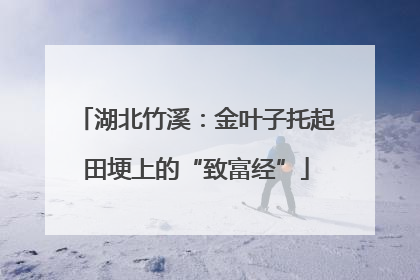 湖北竹溪：金叶子托起田埂上的“致富经”