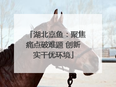湖北嘉鱼：聚焦痛点破难题 创新实干优环境