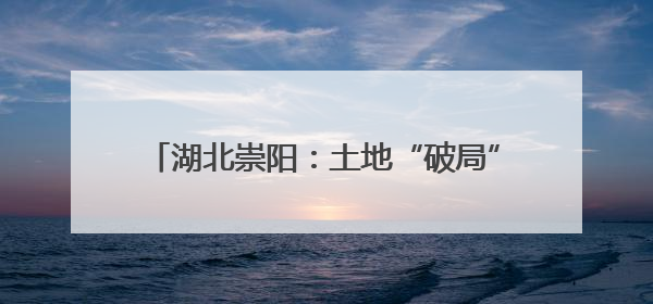 湖北崇阳：土地“破局”绘新卷 山乡巨变绽芳华