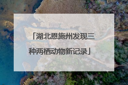 湖北恩施州发现三种两栖动物新记录