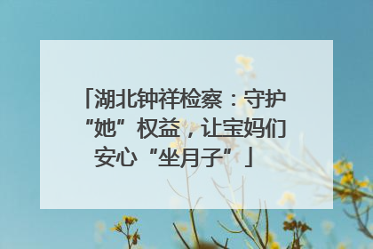 湖北钟祥检察：守护“她”权益，让宝妈们安心“坐月子”
