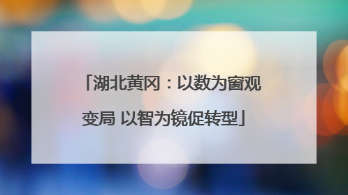 湖北黄冈：以数为窗观变局 以智为镜促转型