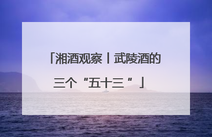 湘酒观察丨武陵酒的三个“五十三 ”