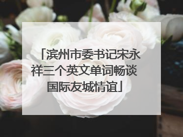 滨州市委书记宋永祥三个英文单词畅谈国际友城情谊