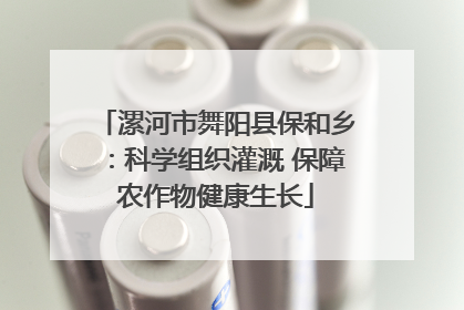 漯河市舞阳县保和乡：科学组织灌溉 保障农作物健康生长