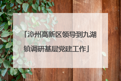 漳州高新区领导到九湖镇调研基层党建工作
