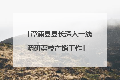 漳浦县县长深入一线调研荔枝产销工作