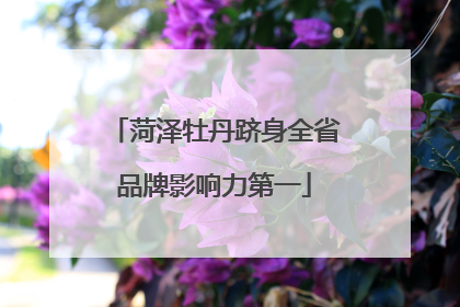 菏泽牡丹跻身全省品牌影响力第一