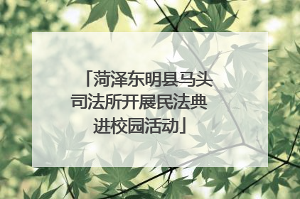 菏泽东明县马头司法所开展民法典进校园活动