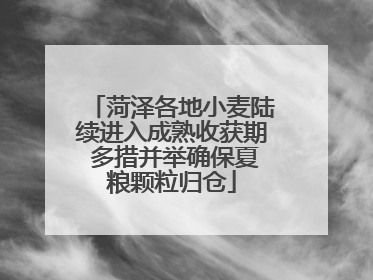 菏泽各地小麦陆续进入成熟收获期 多措并举确保夏粮颗粒归仓