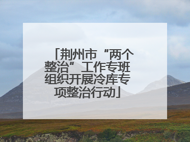 荆州市“两个整治”工作专班组织开展冷库专项整治行动