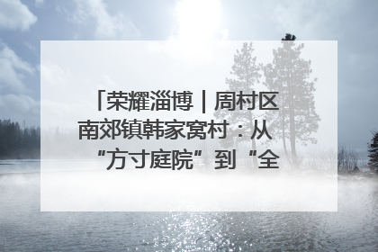 荣耀淄博｜周村区南郊镇韩家窝村：从“方寸庭院”到“全域文明”，乡村振兴的“美学革命”