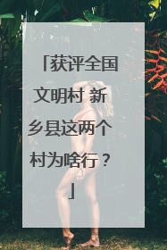 获评全国文明村 新乡县这两个村为啥行？