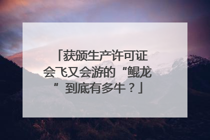 获颁生产许可证 会飞又会游的“鲲龙”到底有多牛？