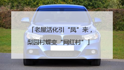 老屋活化引“凤”来，梨园村蝶变“网红村”
