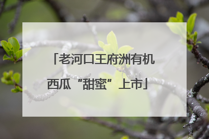 老河口王府洲有机西瓜“甜蜜”上市