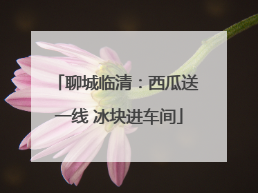 聊城临清：西瓜送一线 冰块进车间