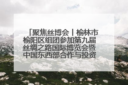 聚焦丝博会丨榆林市榆阳区组团参加第九届丝绸之路国际博览会暨中国东西部合作与投资贸易洽谈会