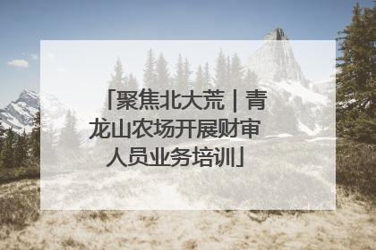 聚焦北大荒｜青龙山农场开展财审人员业务培训