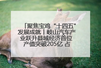 聚焦宝鸡“十四五”发展成就丨岐山汽车产业跃升县域经济首位 产值突破205亿 占规上工业75%