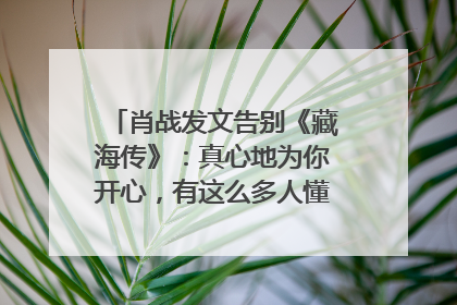 肖战发文告别《藏海传》：真心地为你开心，有这么多人懂你，导演回应“是否有第二季”
