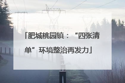 肥城桃园镇：“四张清单”环境整治再发力
