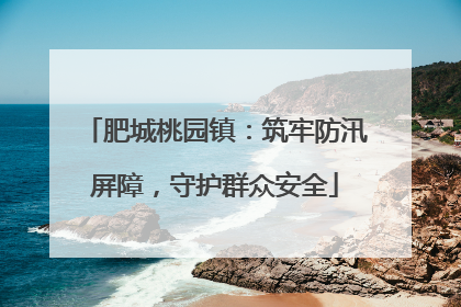 肥城桃园镇：筑牢防汛屏障，守护群众安全