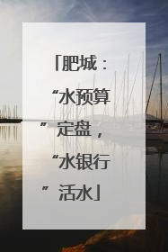 肥城：“水预算”定盘，“水银行”活水