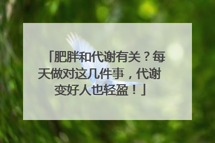肥胖和代谢有关？每天做对这几件事，代谢变好人也轻盈！