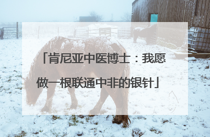 肯尼亚中医博士：我愿做一根联通中非的银针