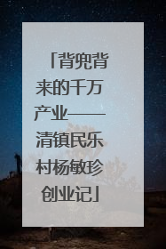 背兜背来的千万产业——清镇民乐村杨敏珍创业记