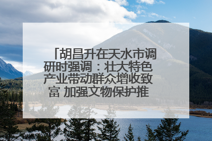胡昌升在天水市调研时强调：壮大特色产业带动群众增收致富 加强文物保护推动文化创新发展